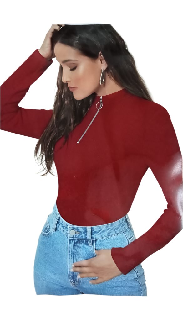 Casual Regular Sleeves Solid Women High Neck Zipper Top